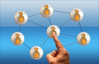 2024年国际乒联混合团体世界杯：德国队顽强拼搏，2024世乒赛