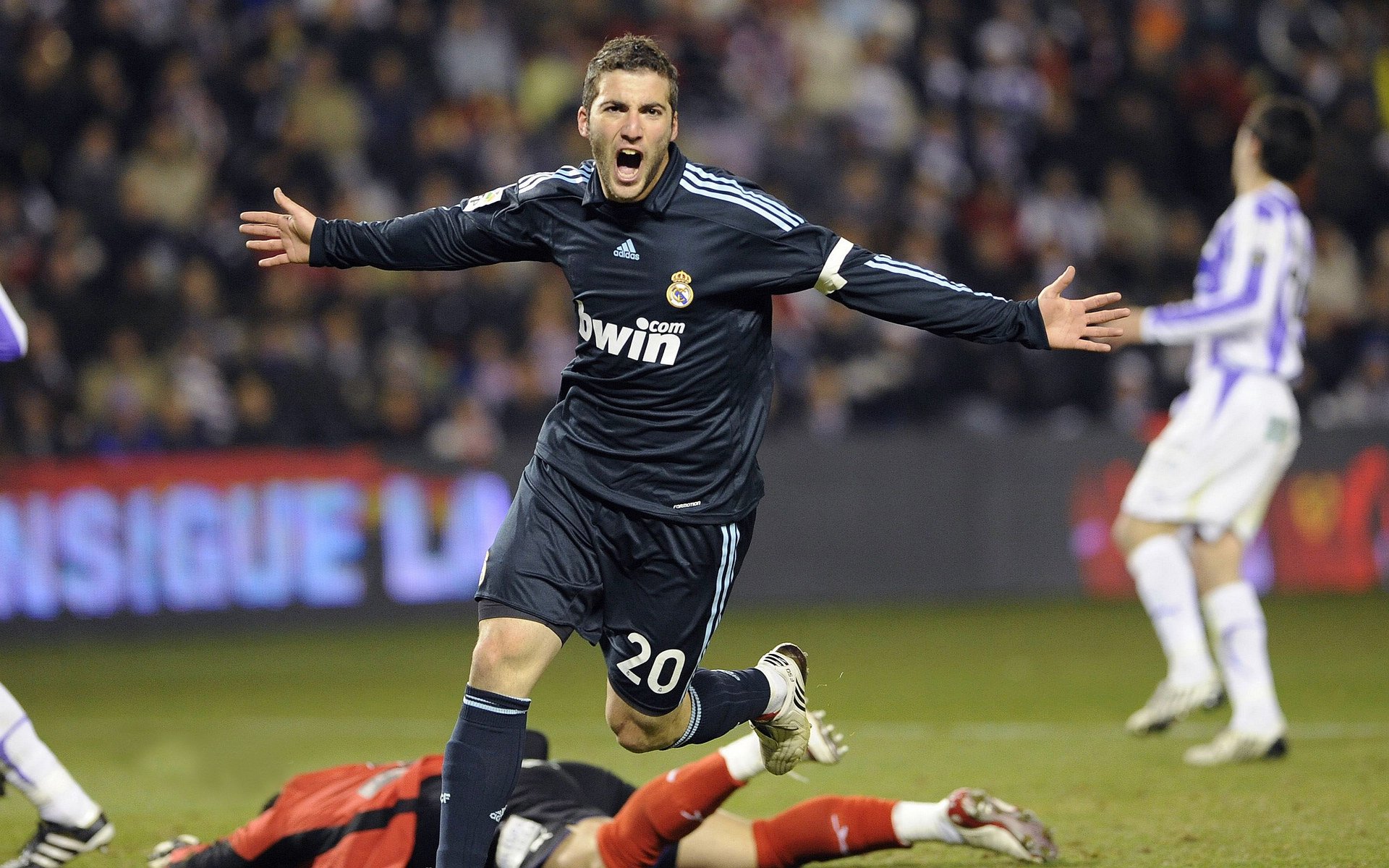 福特：从新西兰橄榄球新星到全黑队的重要成员，新西兰橄榄球队服